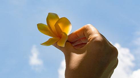 Sustainability: Taking baby steps toward a greener world