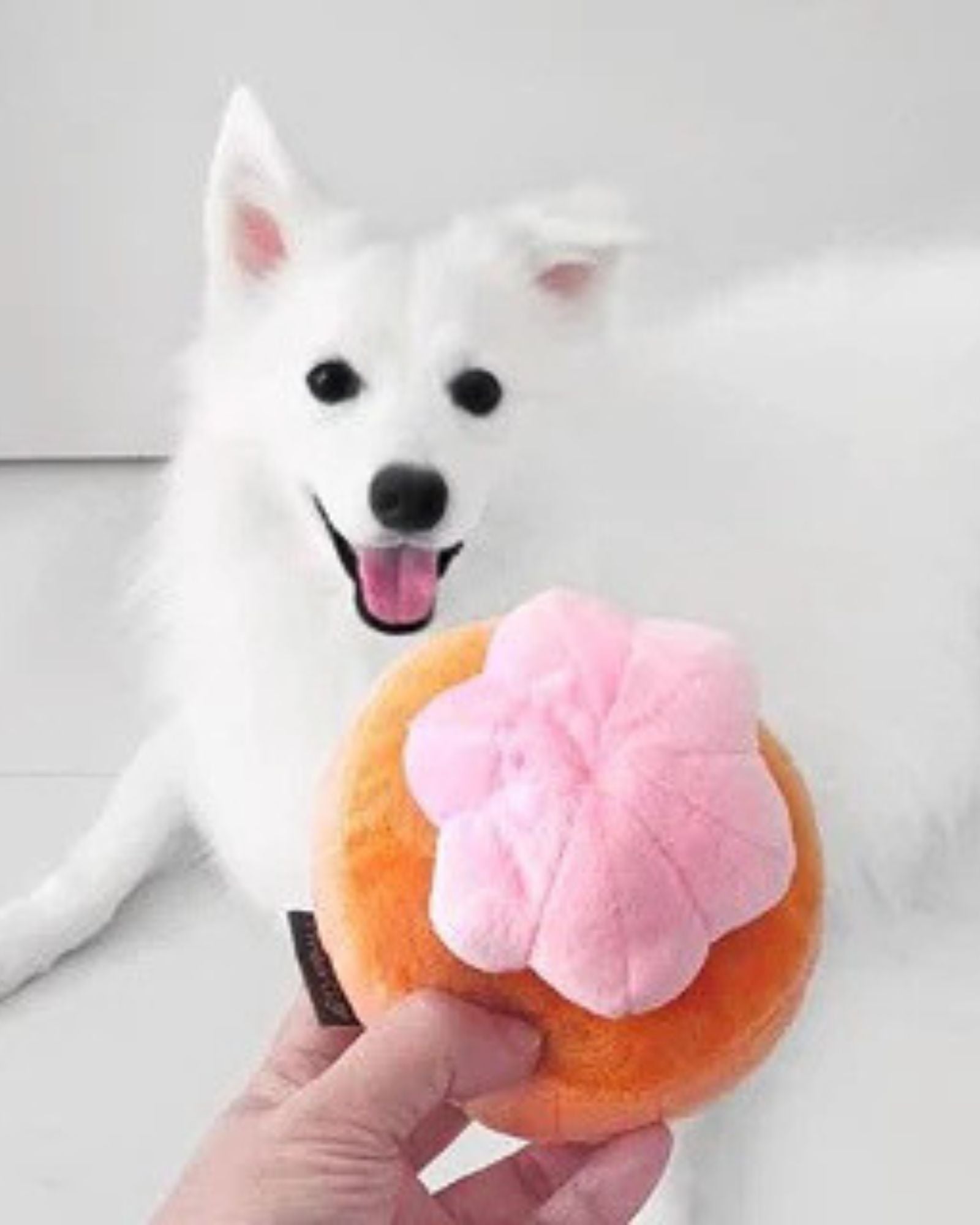 Gem Biscuit Squeakie Pet Chew Toy