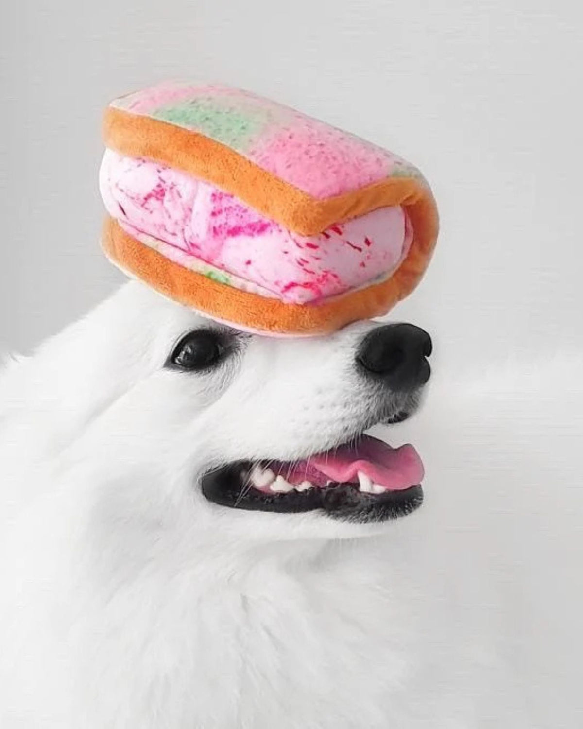 Ice Cream Sandwich Squeakie Pet Chew Toy