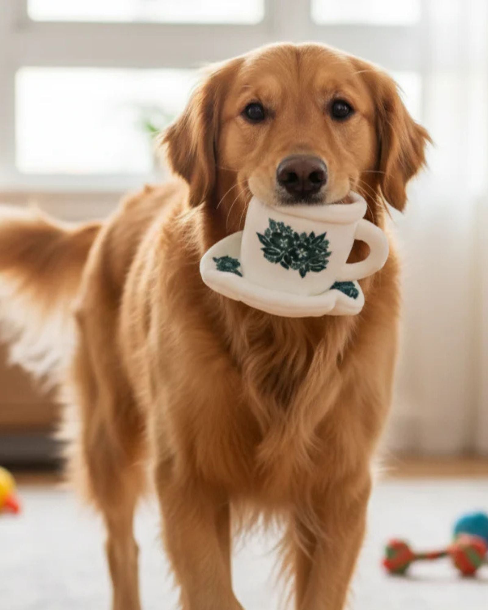 Kopi Cup Squeakie Pet Chew Toy