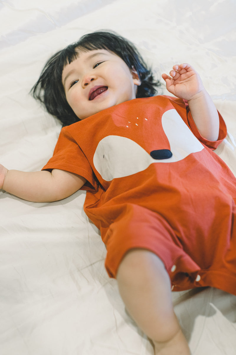 Foxy Pals Baby Gift Set