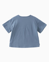 Fuji Popsicle Tee