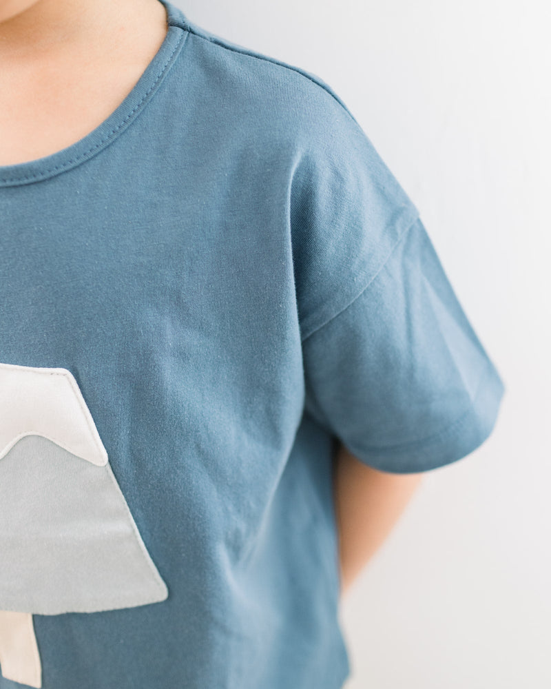 Fuji Popsicle Tee