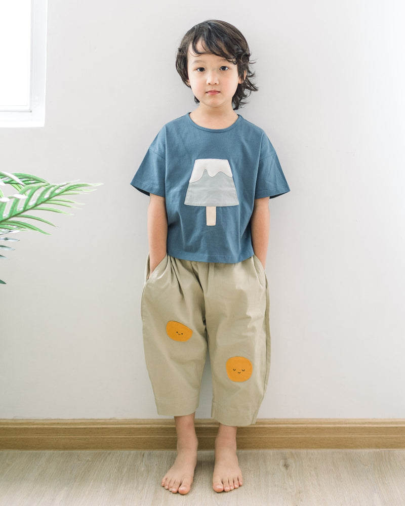 Fuji Popsicle Tee