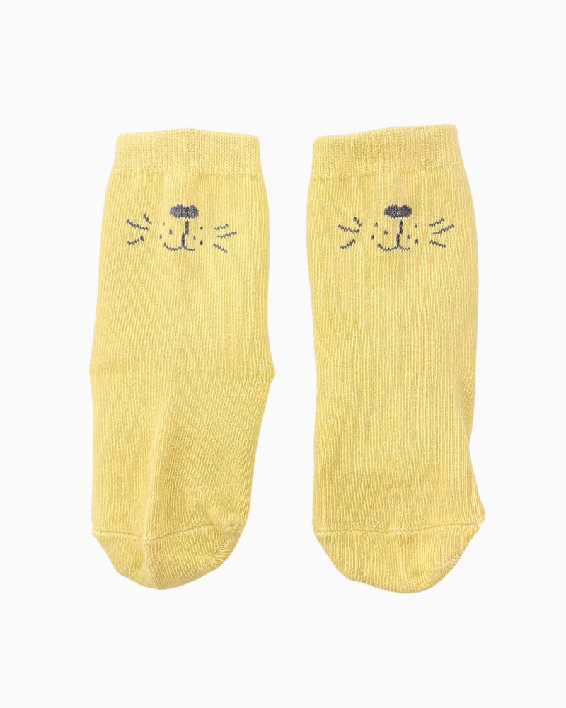 Zenleo Lion Baby Gift Set