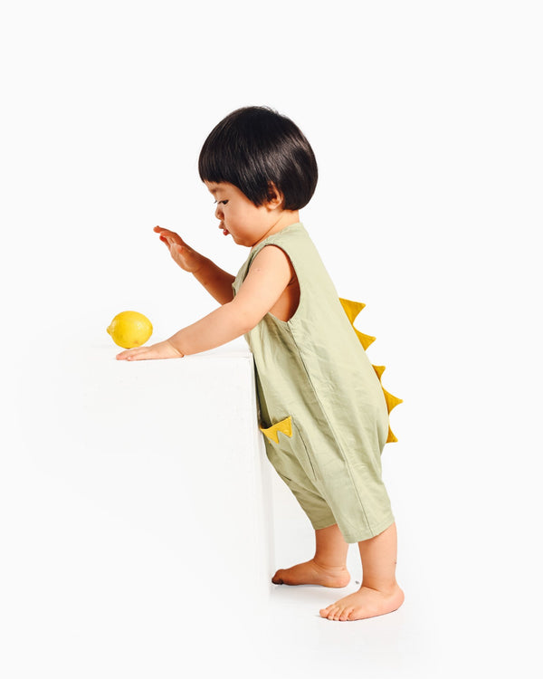 Dinosaur Playsuit (3 Colours)