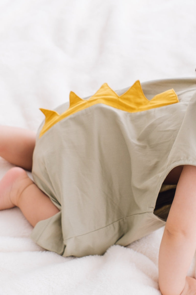 Dinosaur Playsuit (3 Colours)