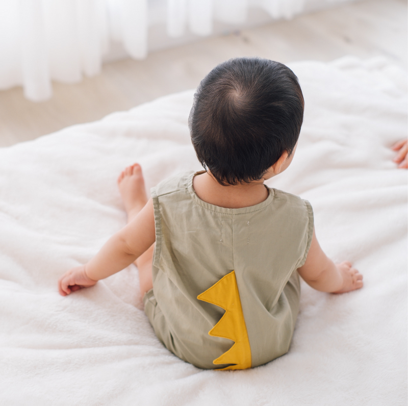 Dinosaur Playsuit (3 Colours)